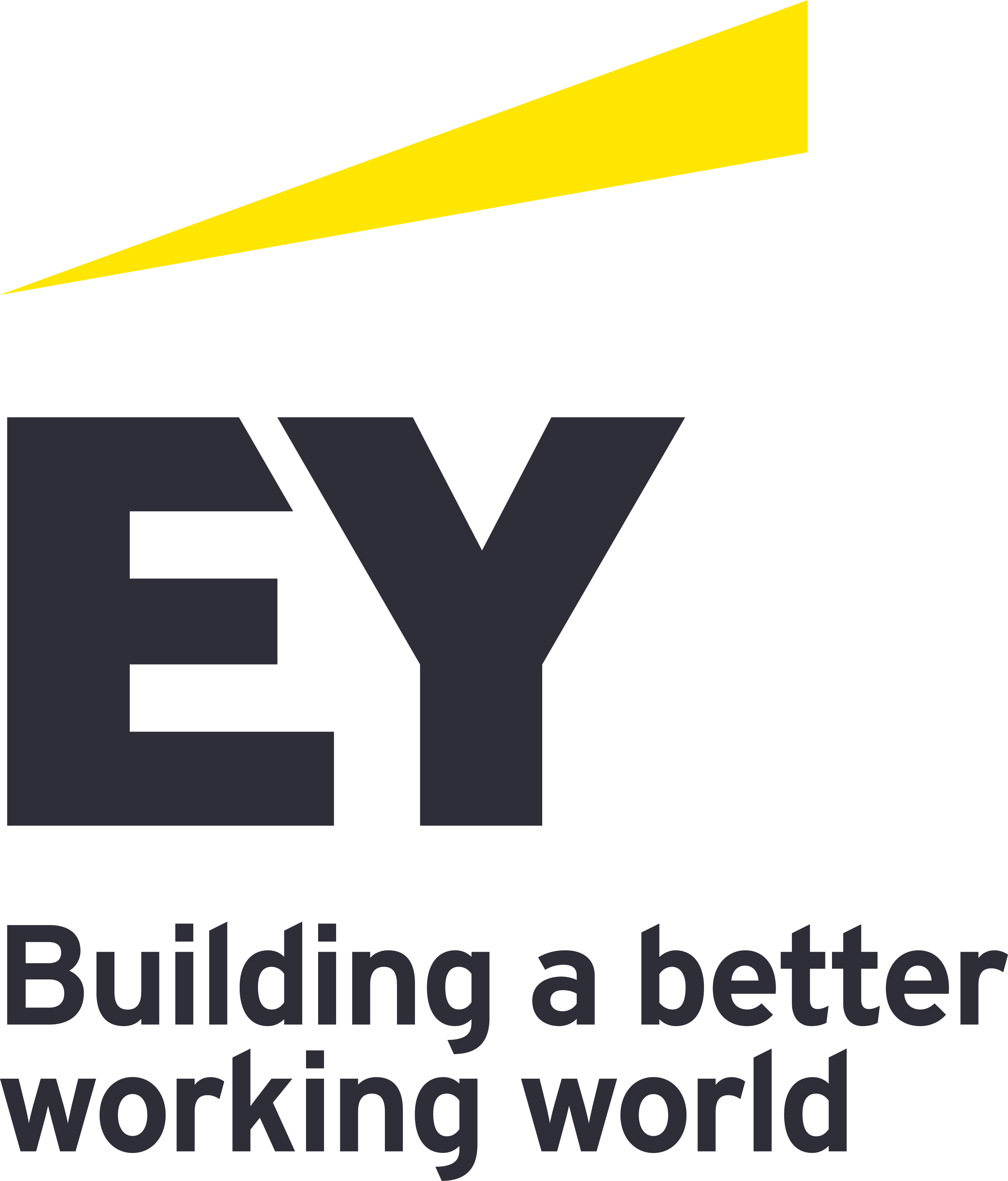 EY GmbH & Co. KG Wirtschaftsprüfungsgesellschaft