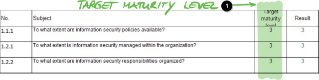 Excel 表“结果”（Results，ISA5）中的目标成熟度等级定义