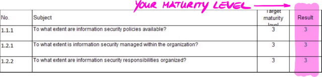 Your maturity levels in the Excel sheet “Results (ISA5)”