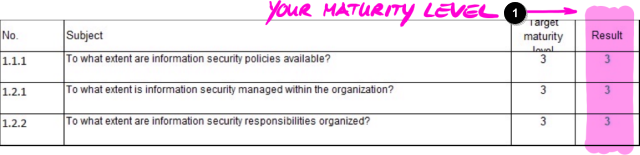 Vos niveaux de maturité dans la feuille Excel « Résultats (ISA5) »
